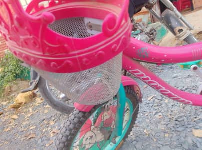 Girls Cycle