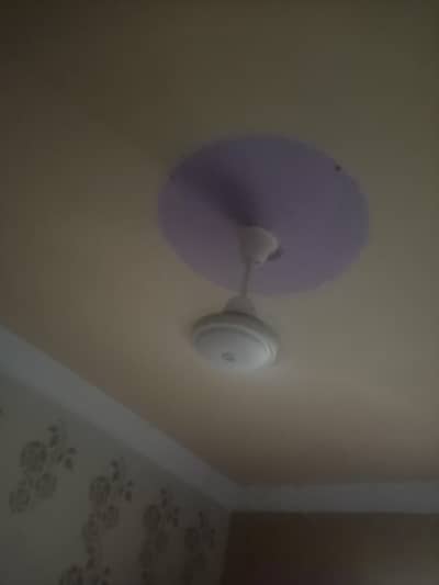 ceiling fan for sales