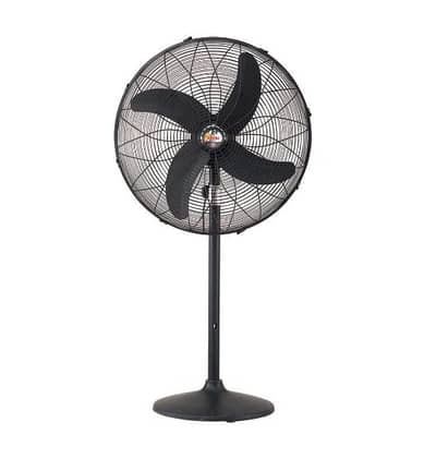 Fans for cool your events royal Pedestal fan and lights