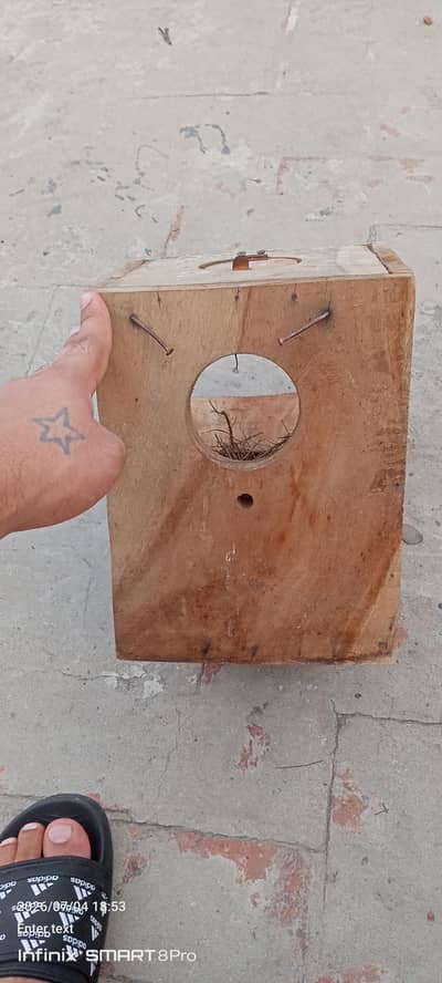 love birds box