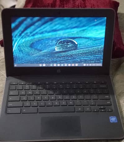Laptop Chrome Book