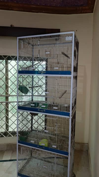 cage for parrots