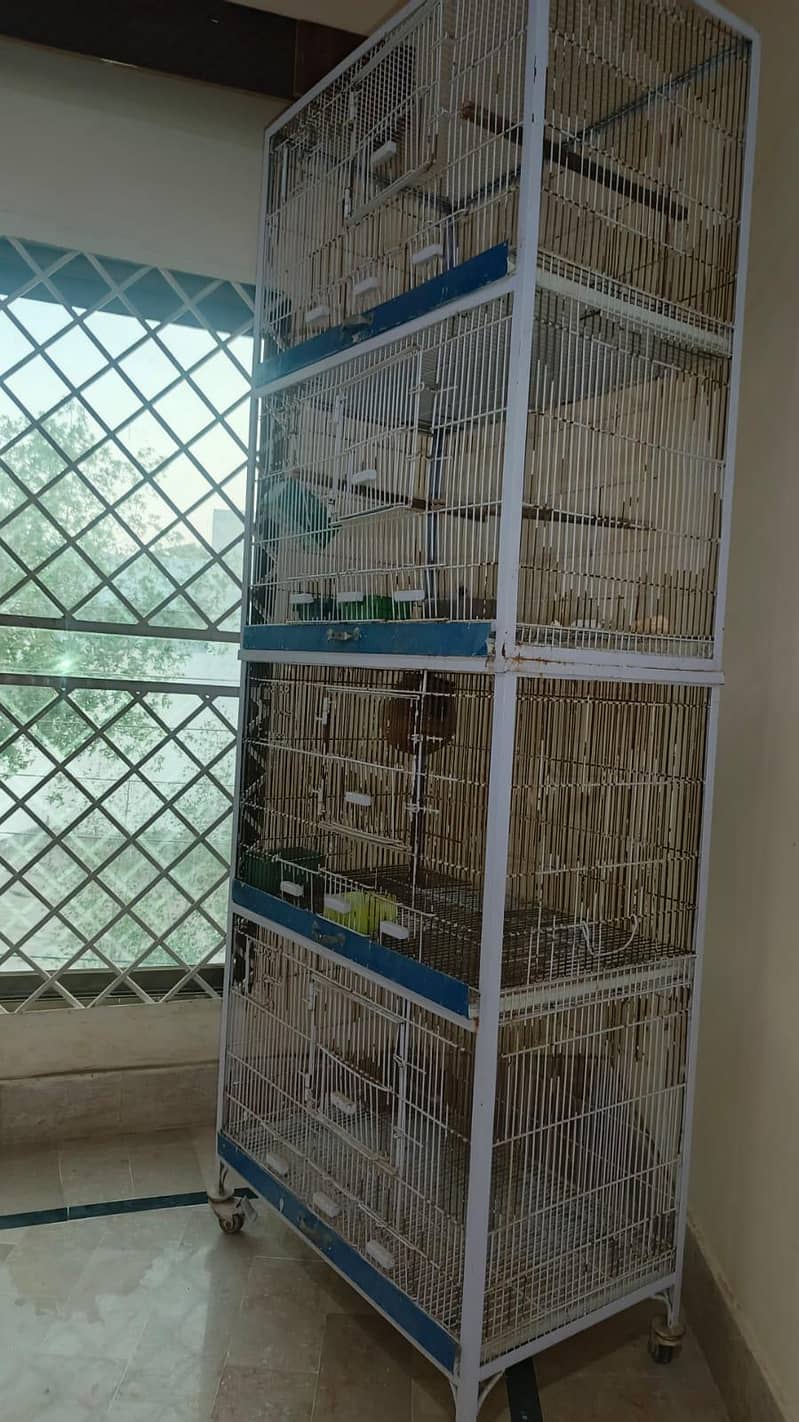 cage. 1