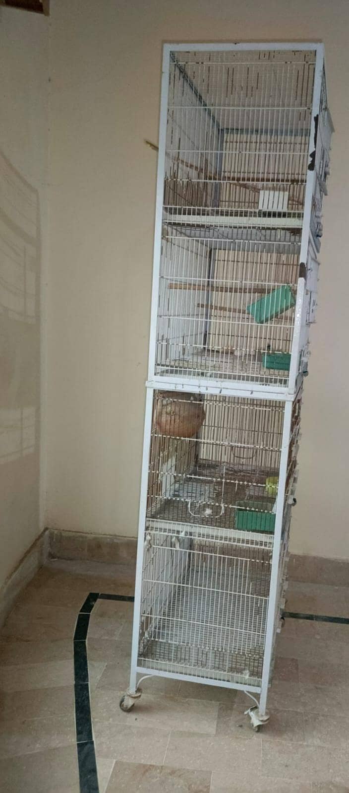 cage. 2