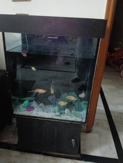 Aquarium for sale