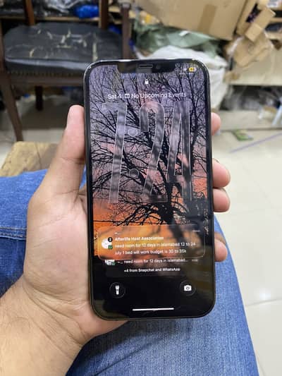 Apple iPhone 12 Pro Max