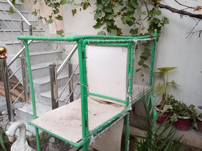 Hen cage for sale