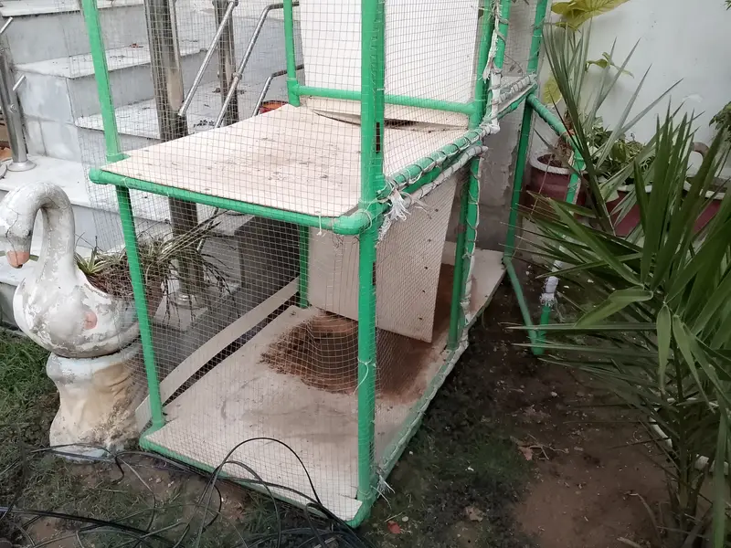 Hen cage for sale — photo 3