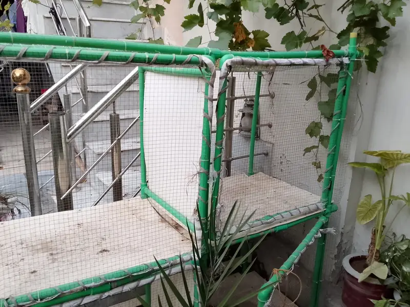 Hen cage for sale — photo 4