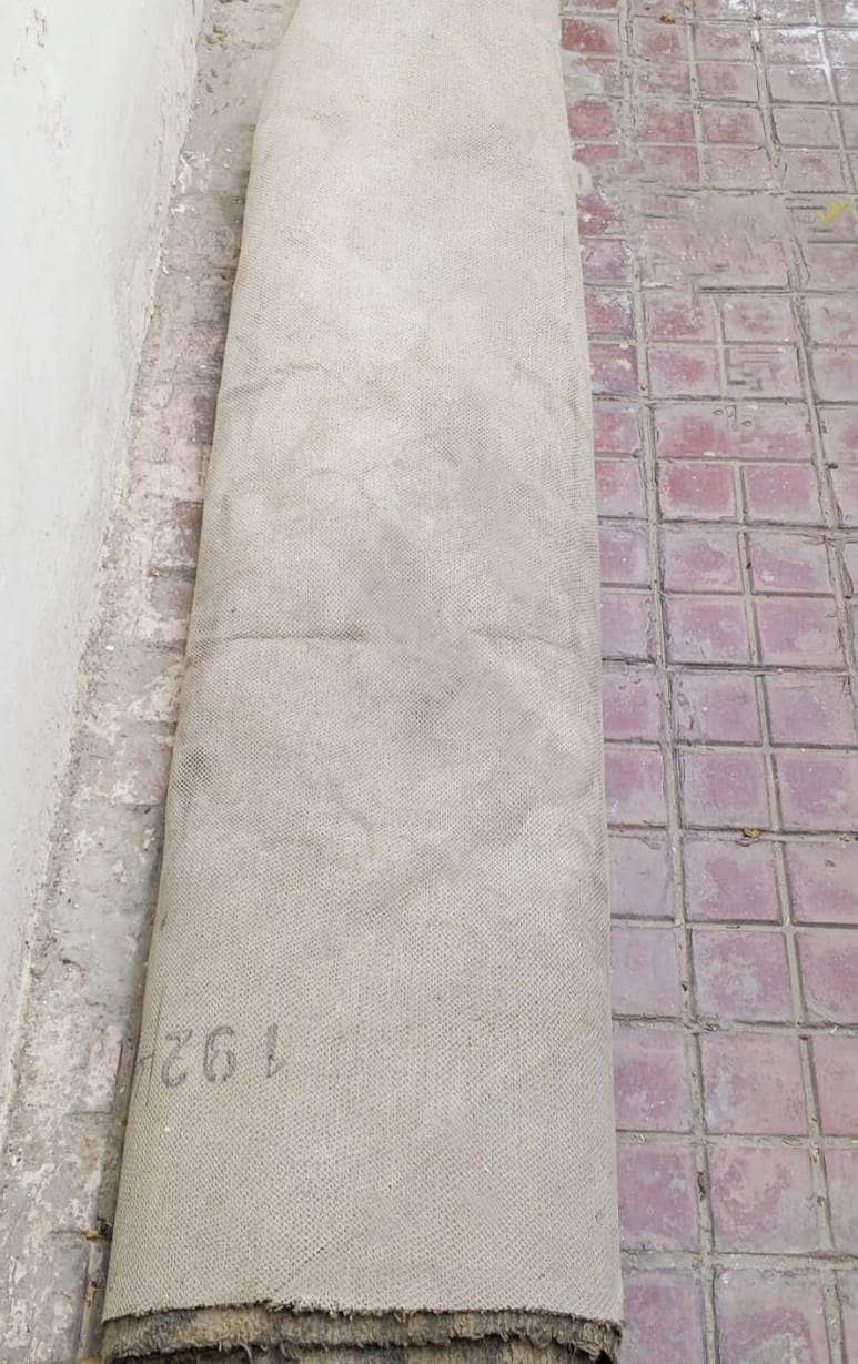 Carpet 1