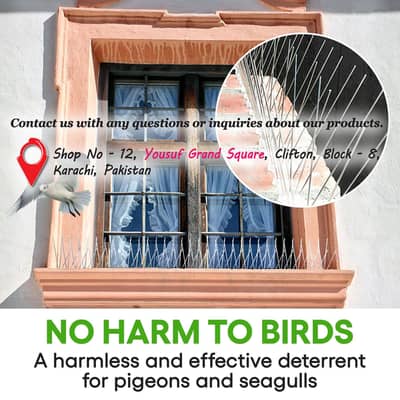 Bird Spikes Barrier In Pakistan