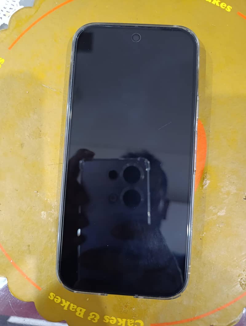 Google Pixel 9 Pro 1