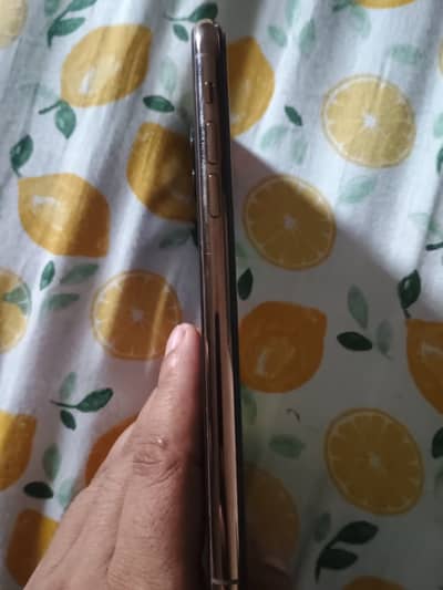 Apple iPhone 11 Pro Max
