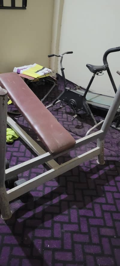 Workout Bench for gym