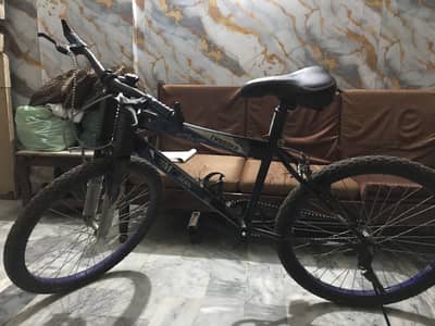 Thunder Modern Bicycle SB-300, Size: 24