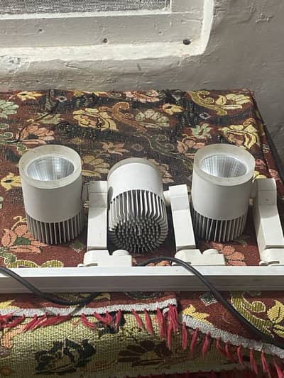 Double COB LED track lights