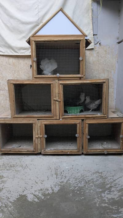 Wooden cage