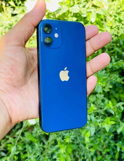 Apple iPhone 12