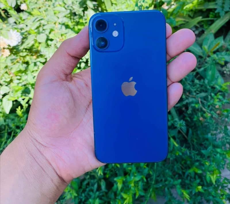 Apple iPhone 12 1