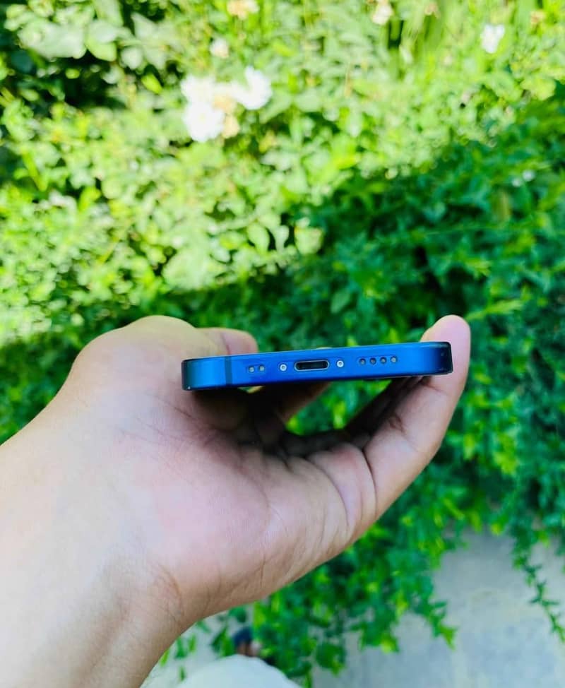 Apple iPhone 12 2