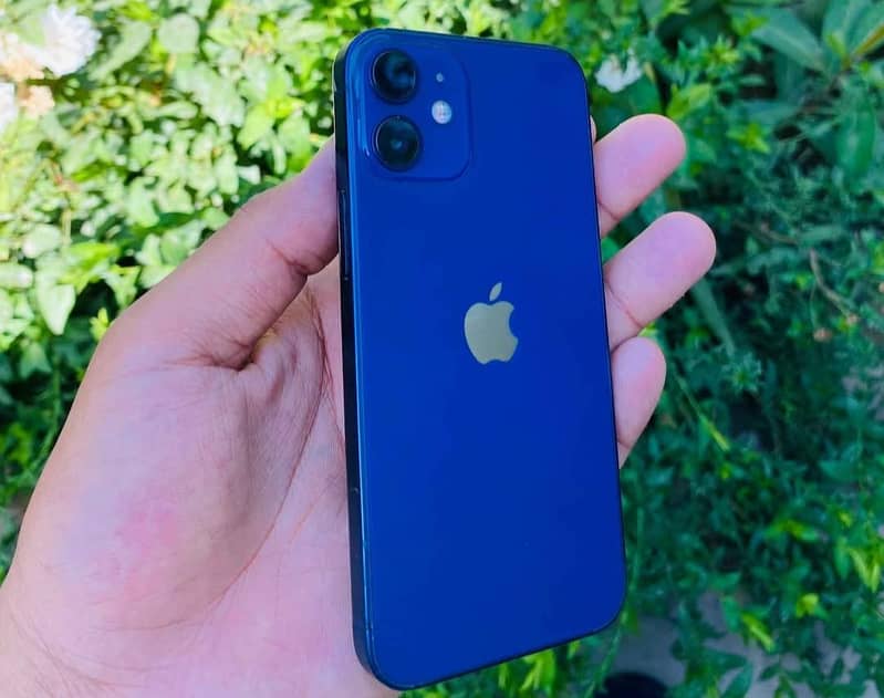 Apple iPhone 12 8