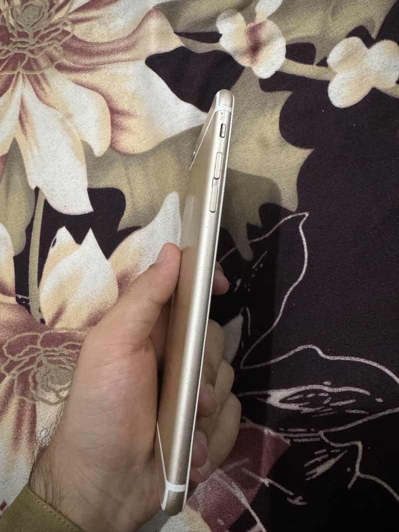 Apple iPhone 6S Plus 1