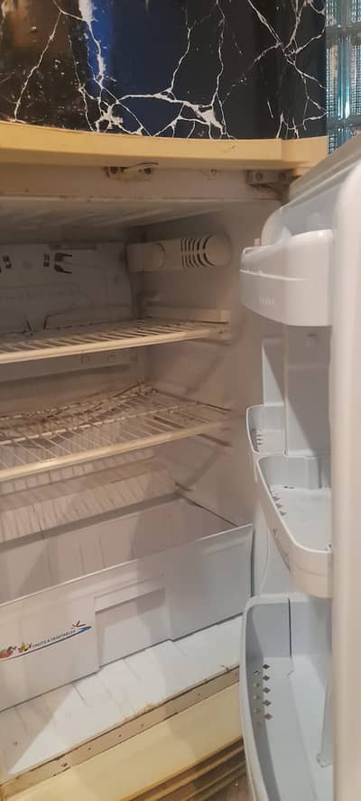 Haier Refrigerator family use
