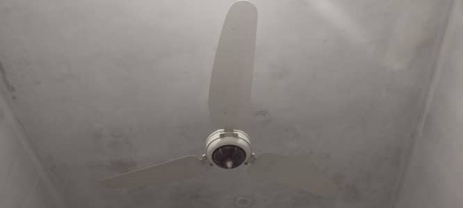 3 fans for sale