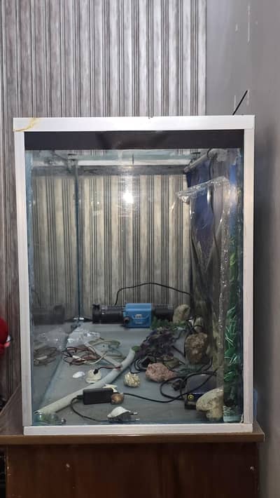 12 mm aquarium