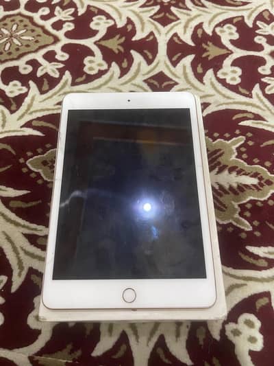 ipad mini 5