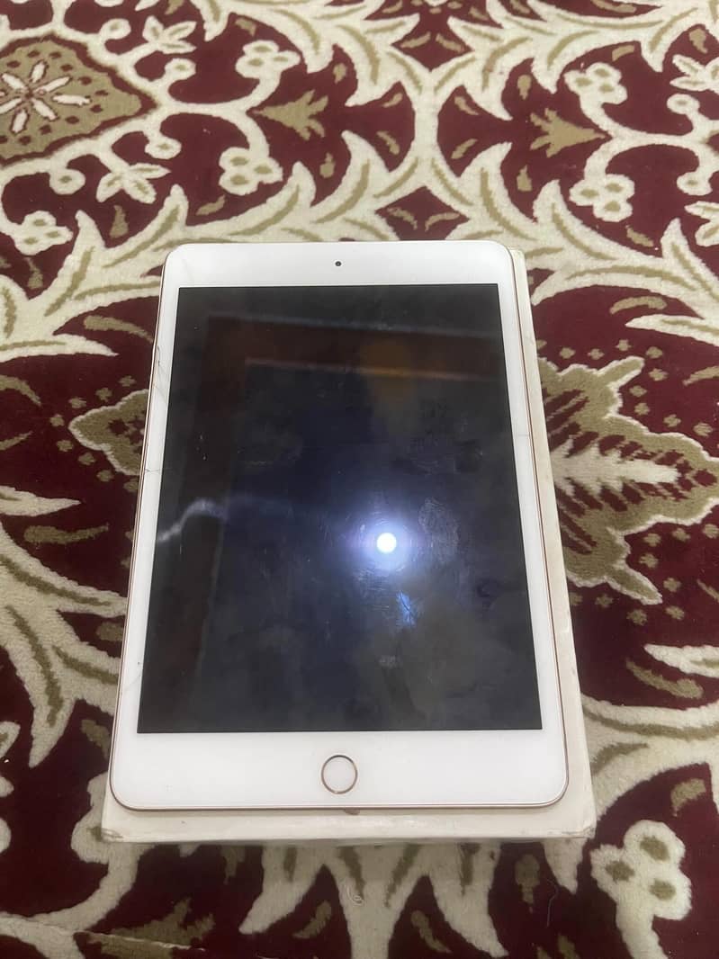 ipad mini 5 0