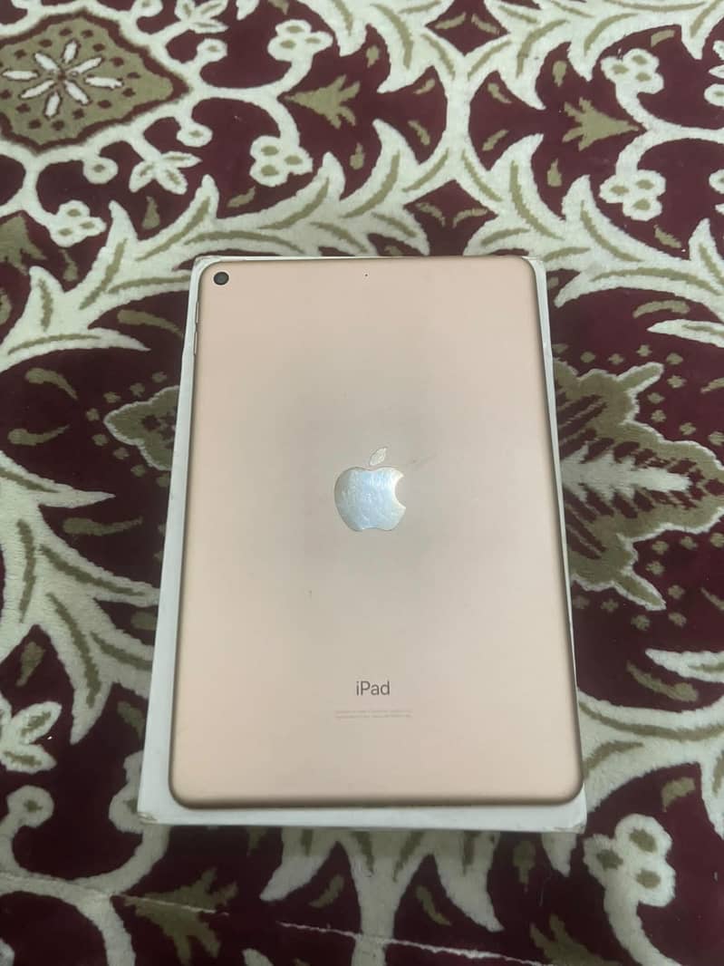 ipad mini 5 1