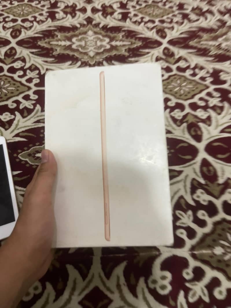 ipad mini 5 6