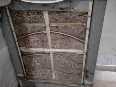 Air cooler