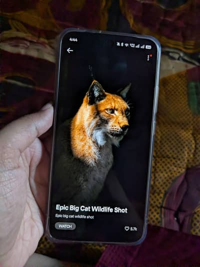 Oppo A6s pro 256gb only 1 month used