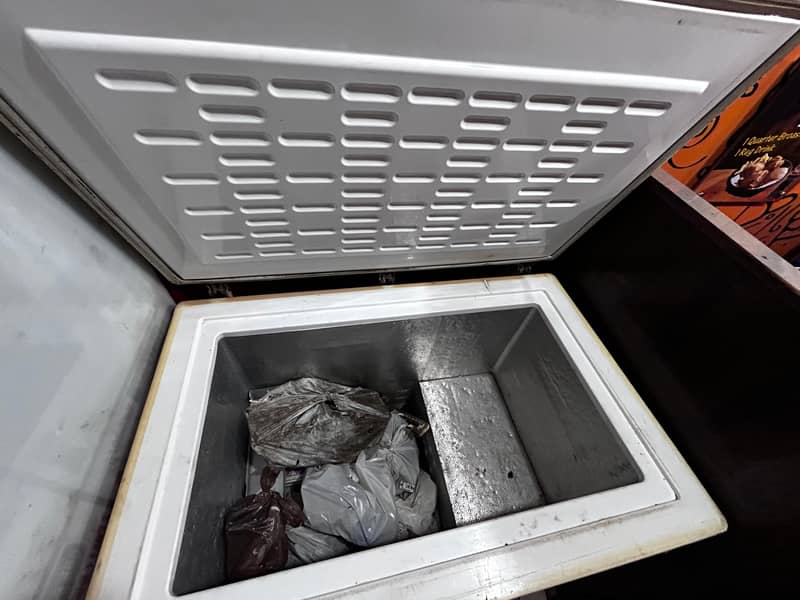 freezer 1