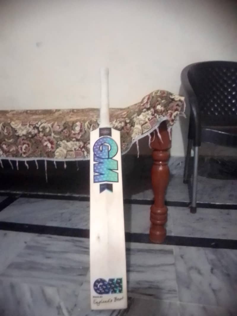Hardball bat 1