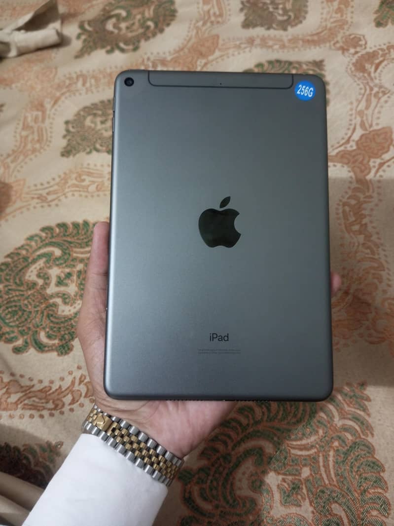 Ipad Mini 5 256GB Sim working 1