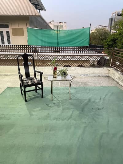 Pine Green Carpet