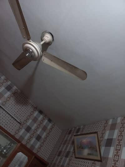 Panaflex top brand fan