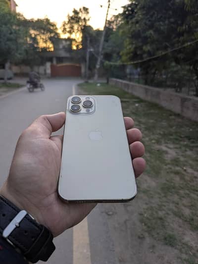 Apple iPhone 13 Pro Max