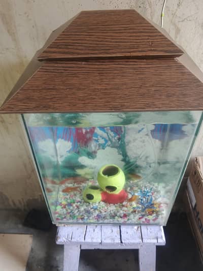 Aquarium for sale