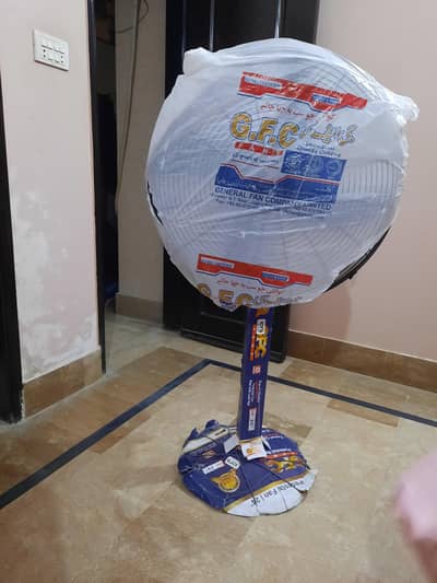 New fan