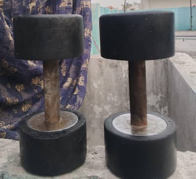 Dumbbells 10 / 10 kg