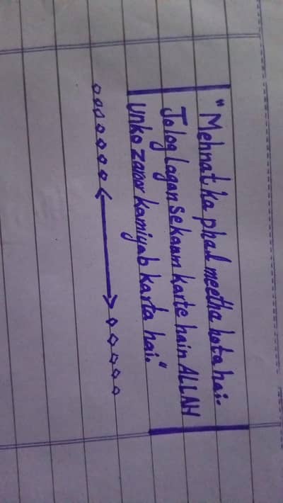 OLX neat handwriting assignment 150 PER page