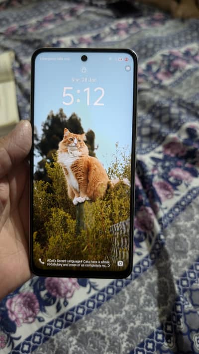 Vivo Y19s – 4+4GB RAM | 128GB ROM