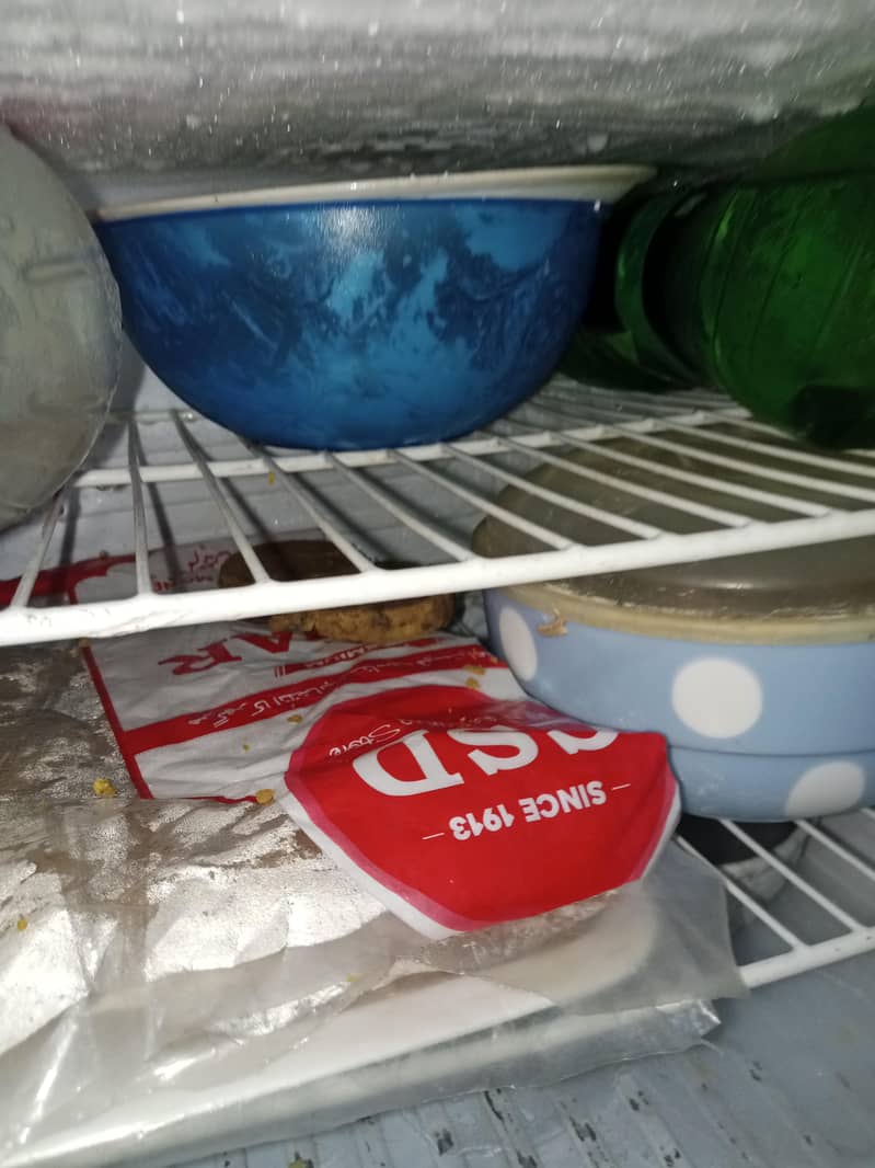 fridge 1