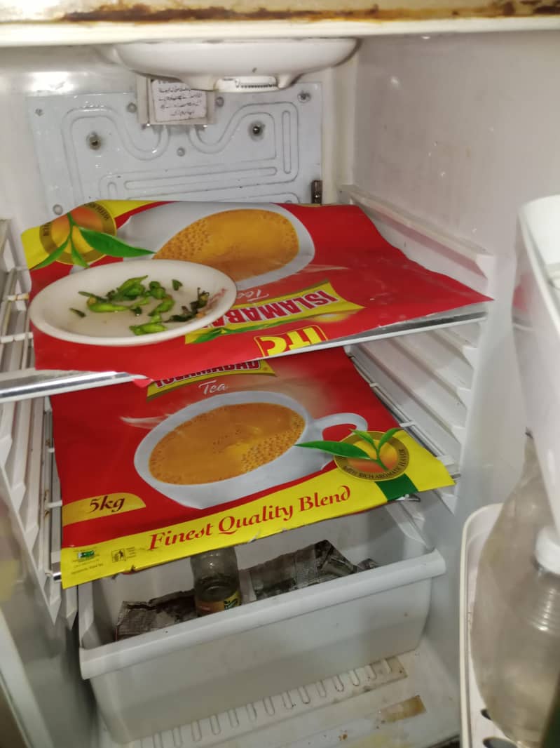fridge 3