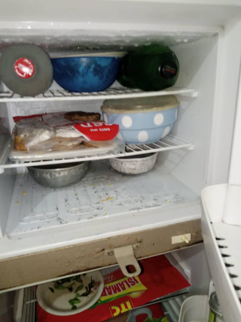 fridge 4