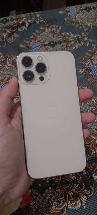 Apple iPhone 13 Pro Max